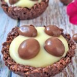 Nidi Fit 2 Ingredienti Avena e Cioccolato