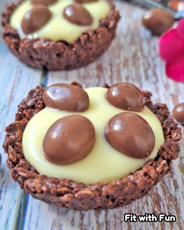 Nidi Fit 2 Ingredienti Avena e Cioccolato