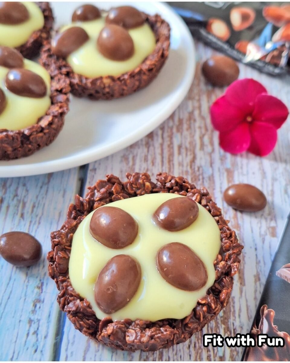 Nidi Fit 2 Ingredienti Avena e Cioccolato